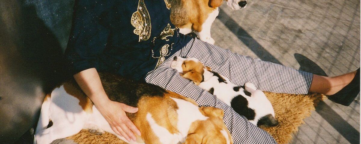 Misty, Jodi & Robee