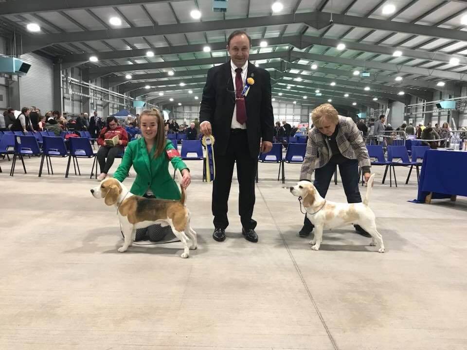 Fionnuala